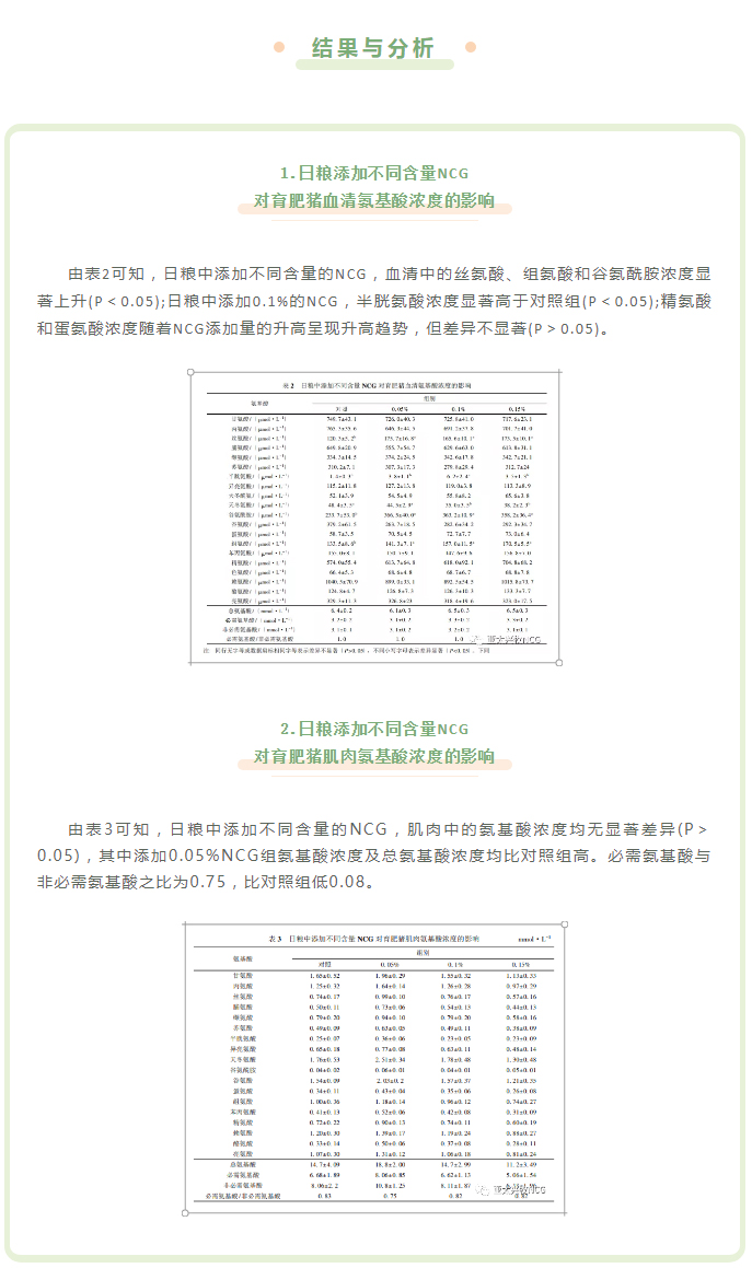 NCG對育肥豬血清及肌肉中氨基酸水平的影響_04