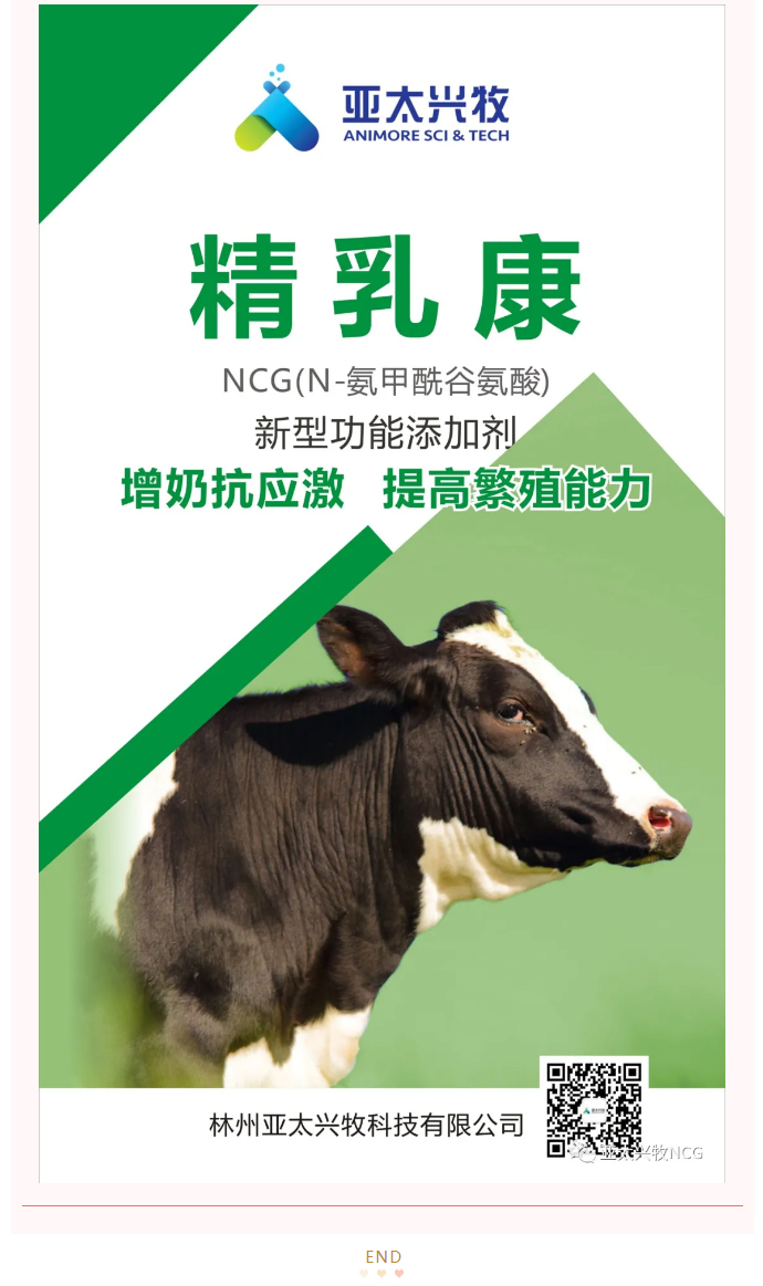 NCG對圍產(chǎn)期奶牛生產(chǎn)性能的影響_06