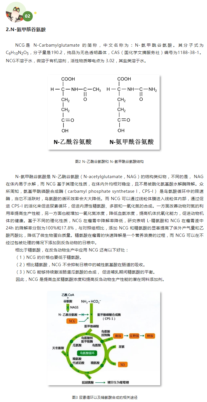 日糧中添加-NCG-對荷斯坦公牛氮營養(yǎng)素利用的影響（下）_02